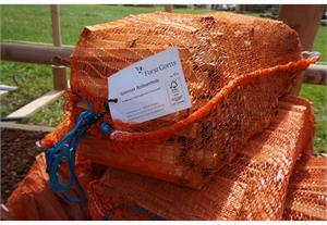 Anfeuerholz Sack ca. 17 lt.