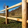 Zaunpfosten Lärche gefräst - Durchmesser 8 cm | Bild 2